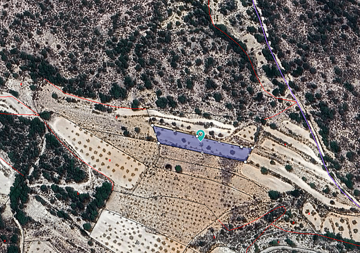 Land in Monóvar/Monóver