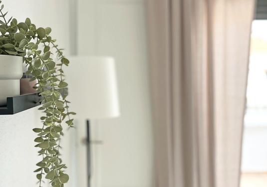 Town house in San Miguel de Salinas