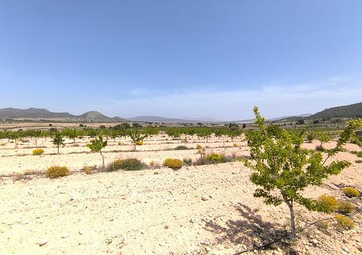 Land in Monóvar/Monóver