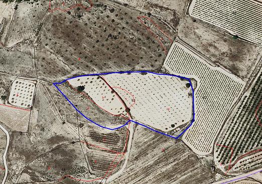 Land in Monóvar/Monóver