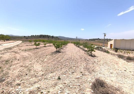 Land in Monóvar/Monóver