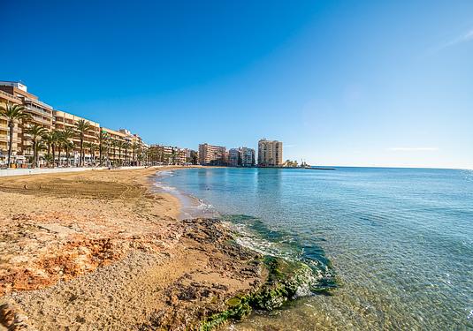 Apartment in Torrevieja