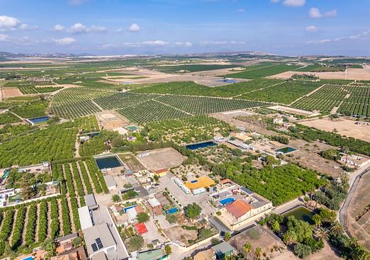 Villa in Los Montesinos