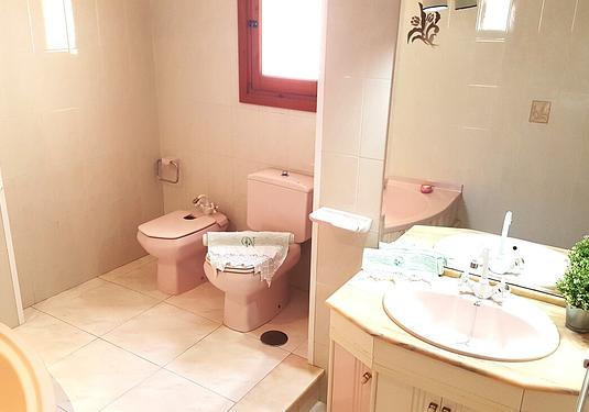 Penthouse penthouse in Torrevieja