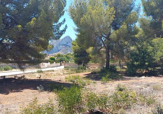 Land in Calpe