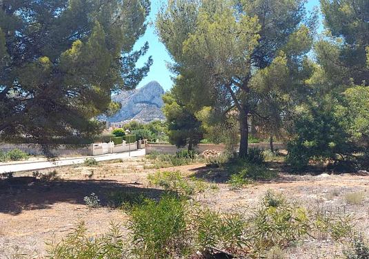 Land in Calpe