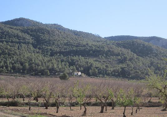 Land in Villena