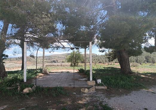 Country house in Yecla