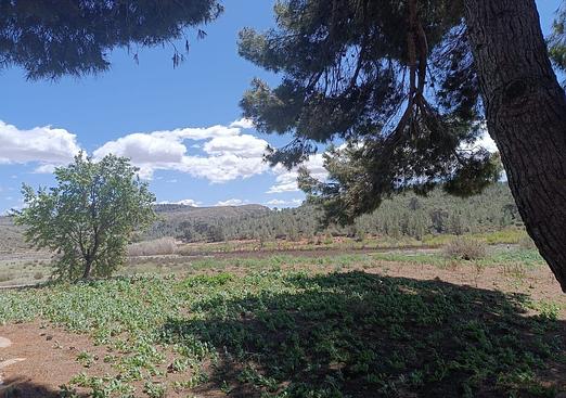 Country house in Yecla