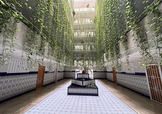 Apartment in Torrevieja