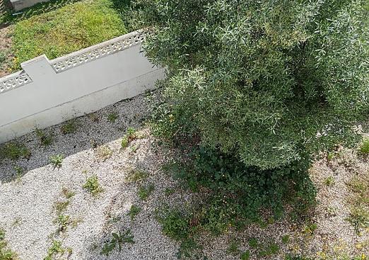 Semi detached in Torrevieja