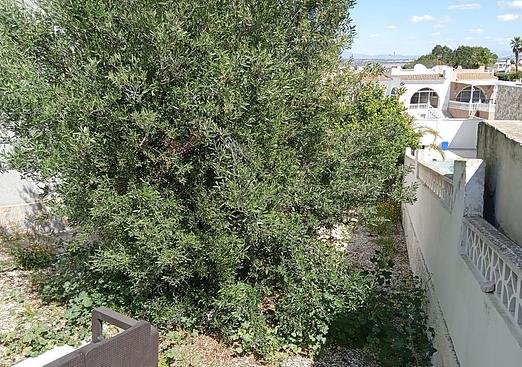 Semi detached in Torrevieja