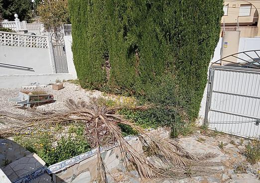 Semi detached in Torrevieja