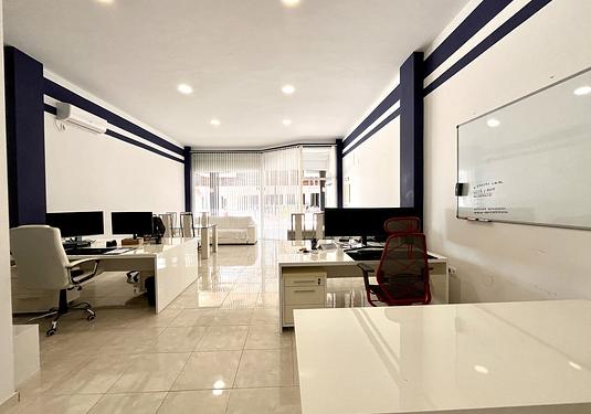 Commercial in Playa Flamenca