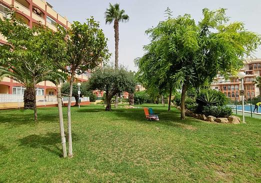 Apartment in Torrevieja