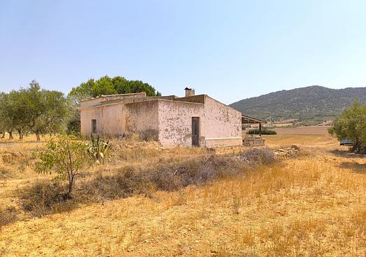 Country house in Yecla