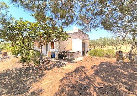 Country house in Yecla