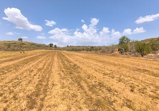 Country house in Yecla