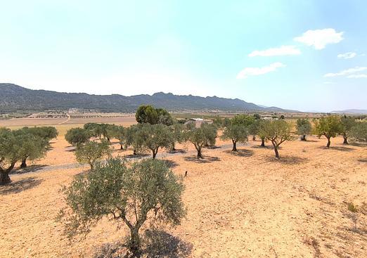 Country house in Yecla