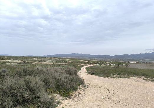 Other in Las Encebras