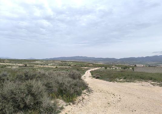 Other in Las Encebras