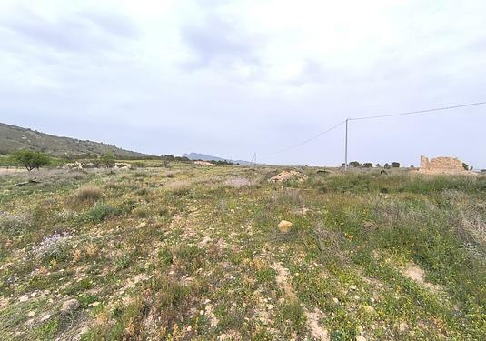 Other in Las Encebras