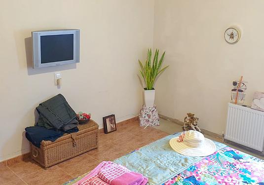 Country house in Ayora