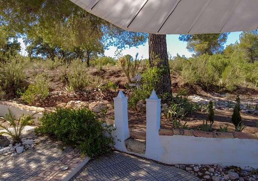 Country house in Ayora