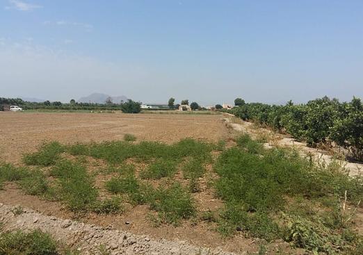 Country house in Daya Nueva