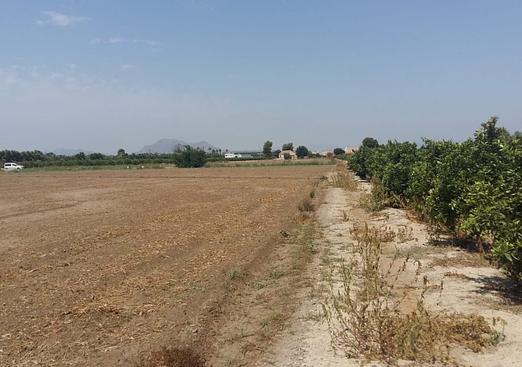 Country house in Daya Nueva