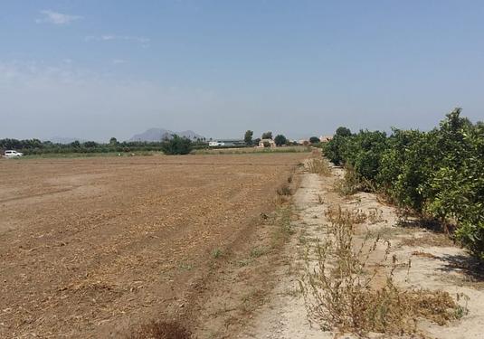 Country house in Daya Nueva