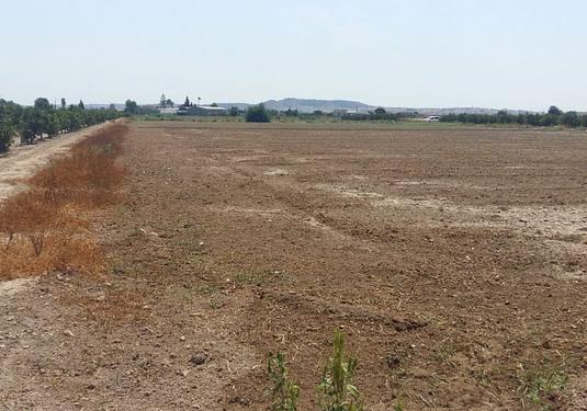 Country house in Daya Nueva