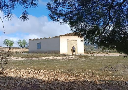 Country house in Yecla