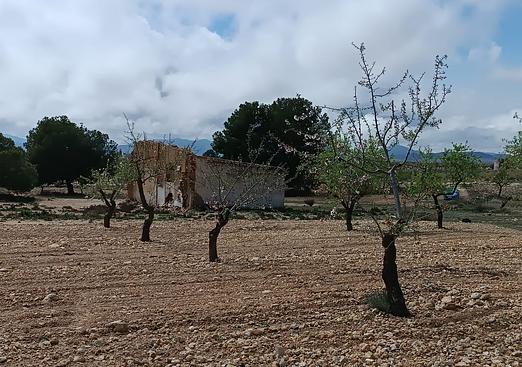 Country house in Yecla