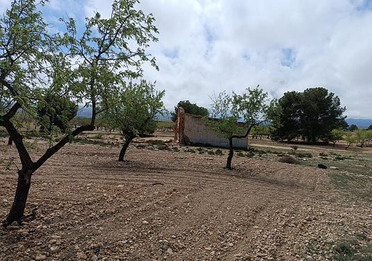 Country house in Yecla