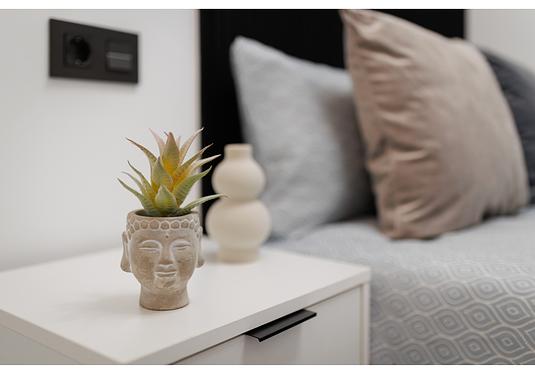 Apartment in La Mata