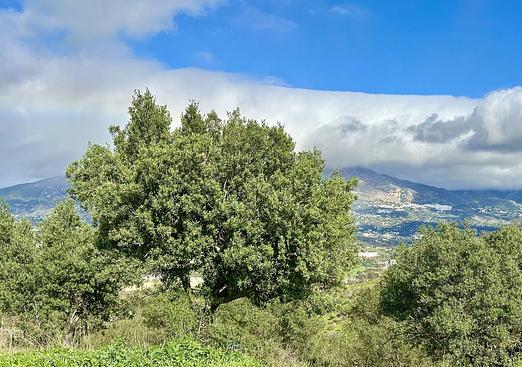 Land in La Cala de Mijas
