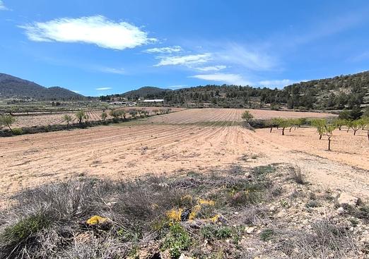 Land in La Zarza