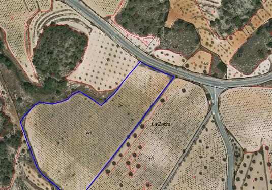 Land in La Zarza