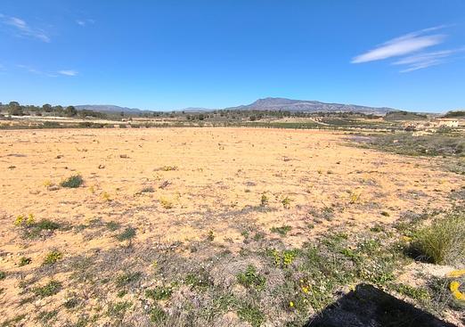 Land in La Zarza