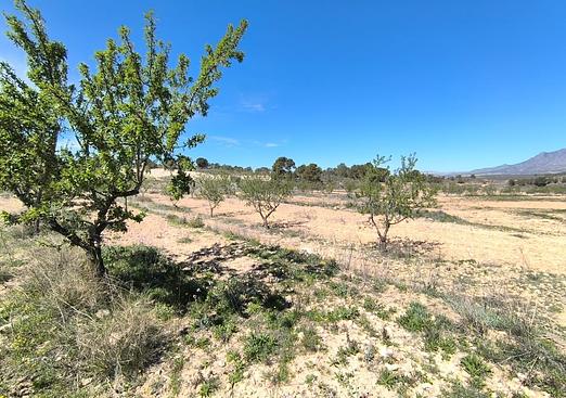 Land in La Zarza