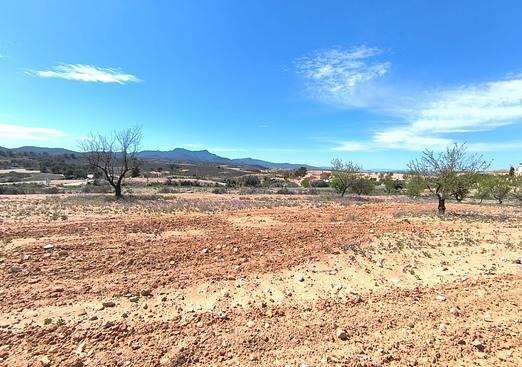 Land in Jumilla