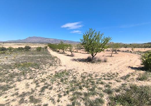 Land in Jumilla