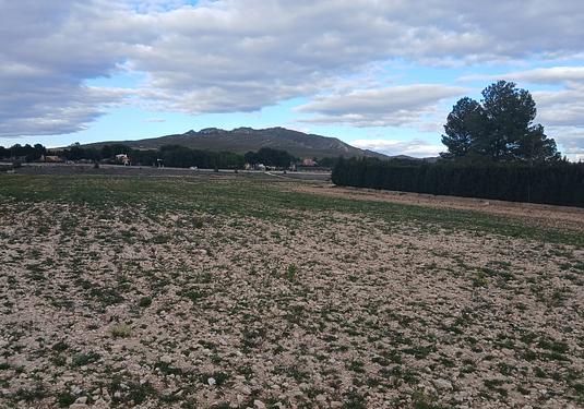 Land in Yecla