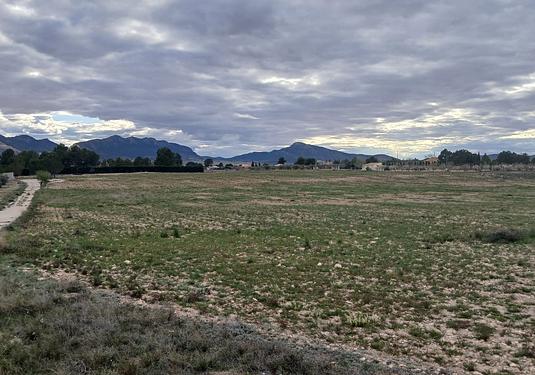 Land in Yecla