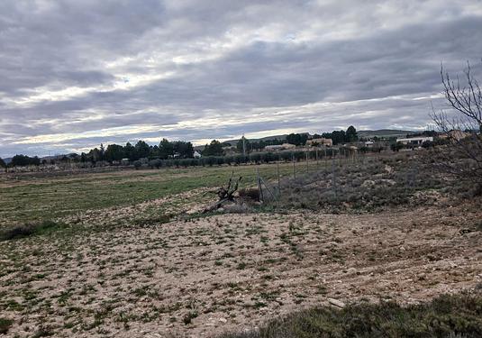 Land in Yecla