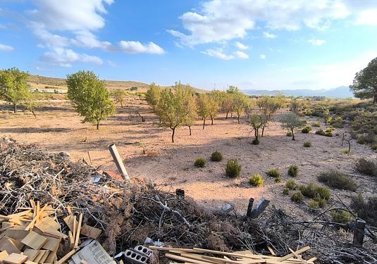 Country house in Yecla
