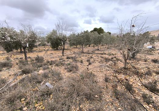 Country house in La Romana