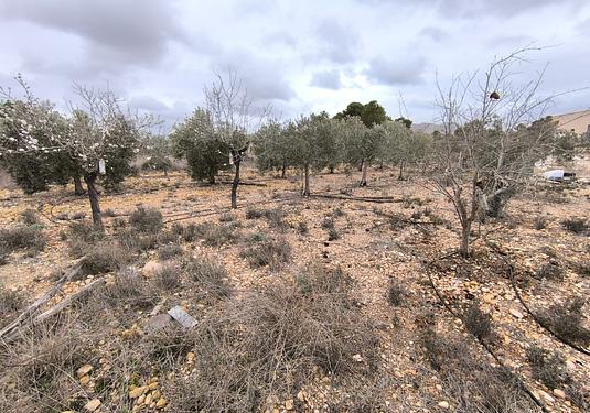 Country house in La Romana