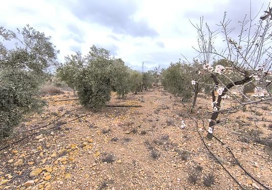 Country house in La Romana
